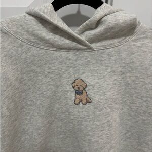 Hollister Light Gray Hoodie